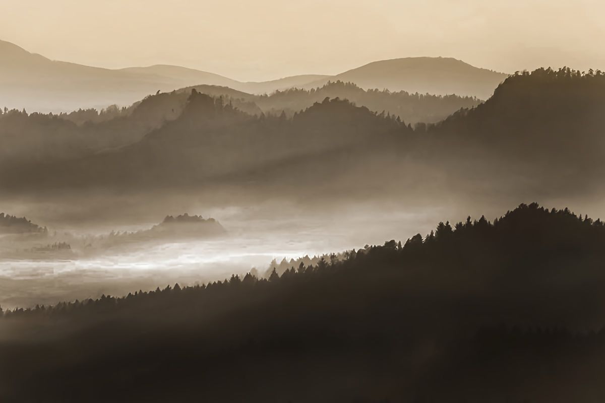 Quiet Heights