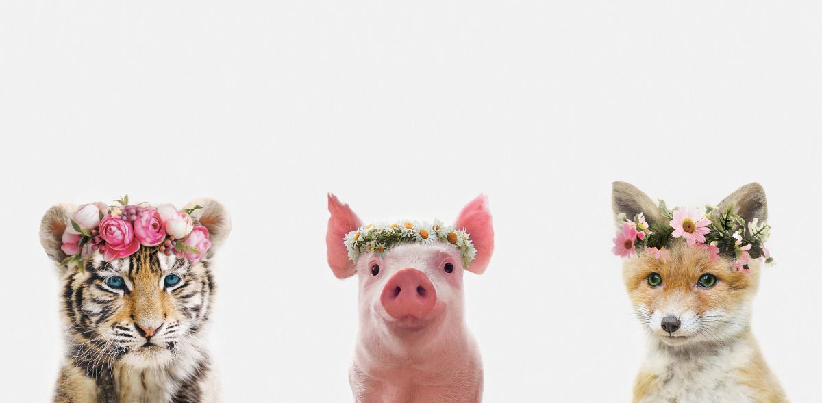 Floral Crown Baby Animals