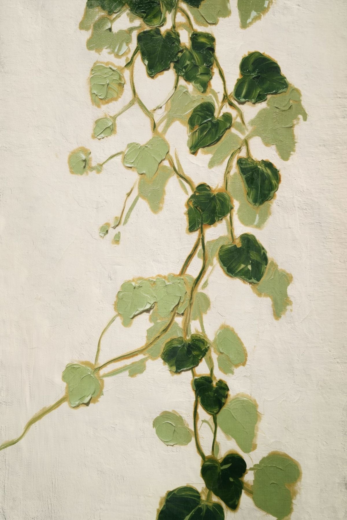 Trailing Ivy Leaves