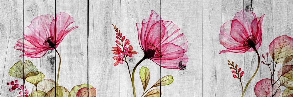 Pink Poppies On Wood