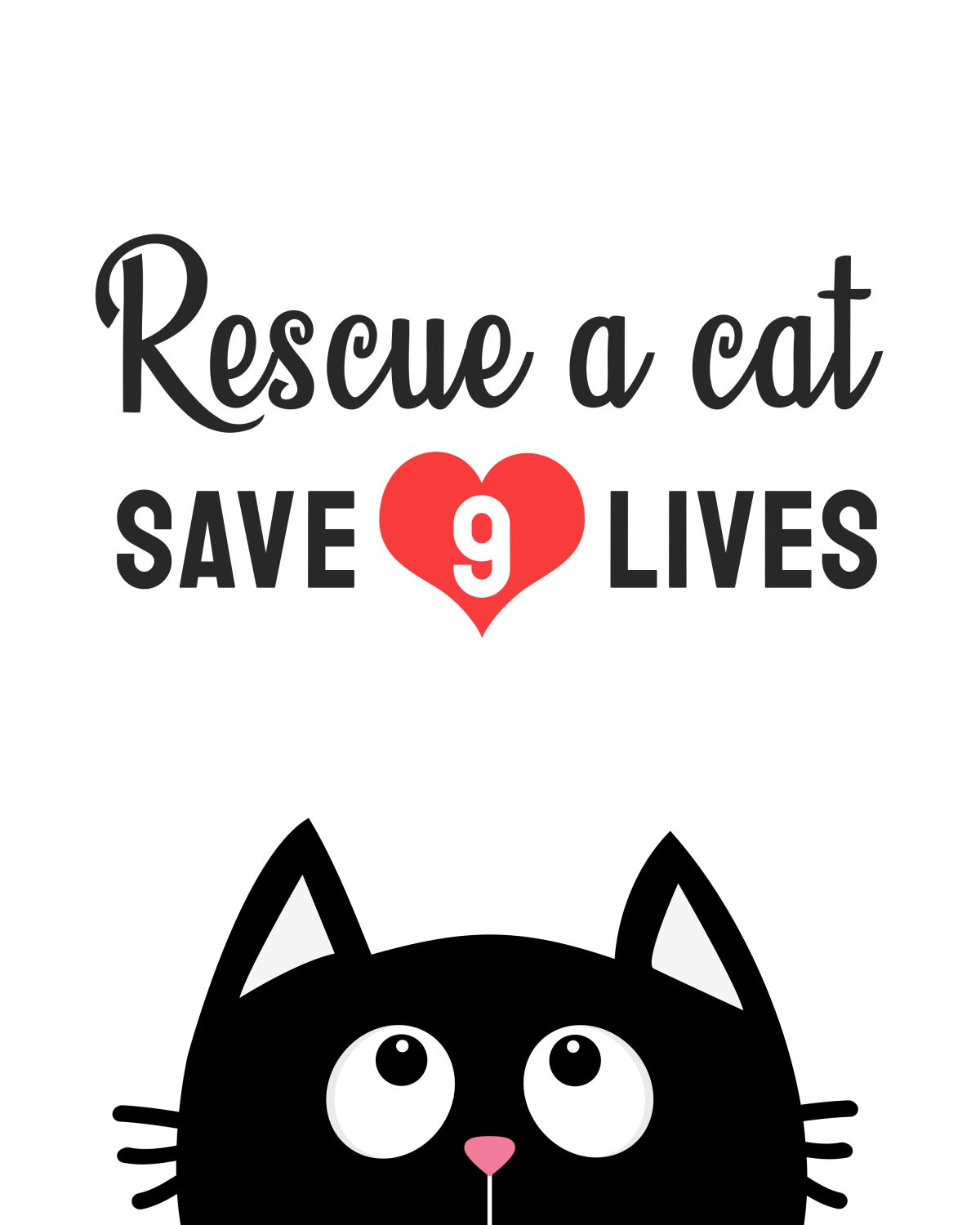 Cat Rescue Quote