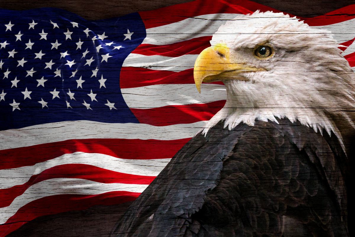American Eagle And Flag On Wood