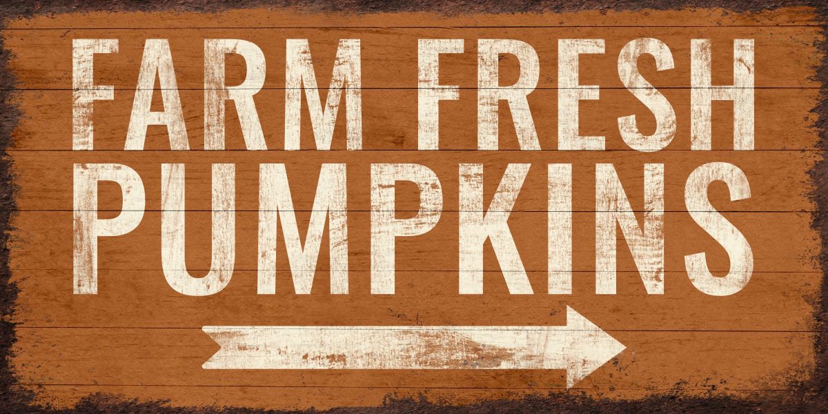 Way To Farm Fresh Pumpkins