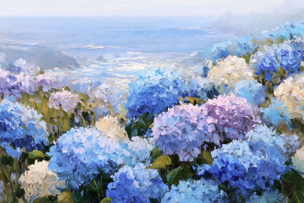 Hydrangea Coast