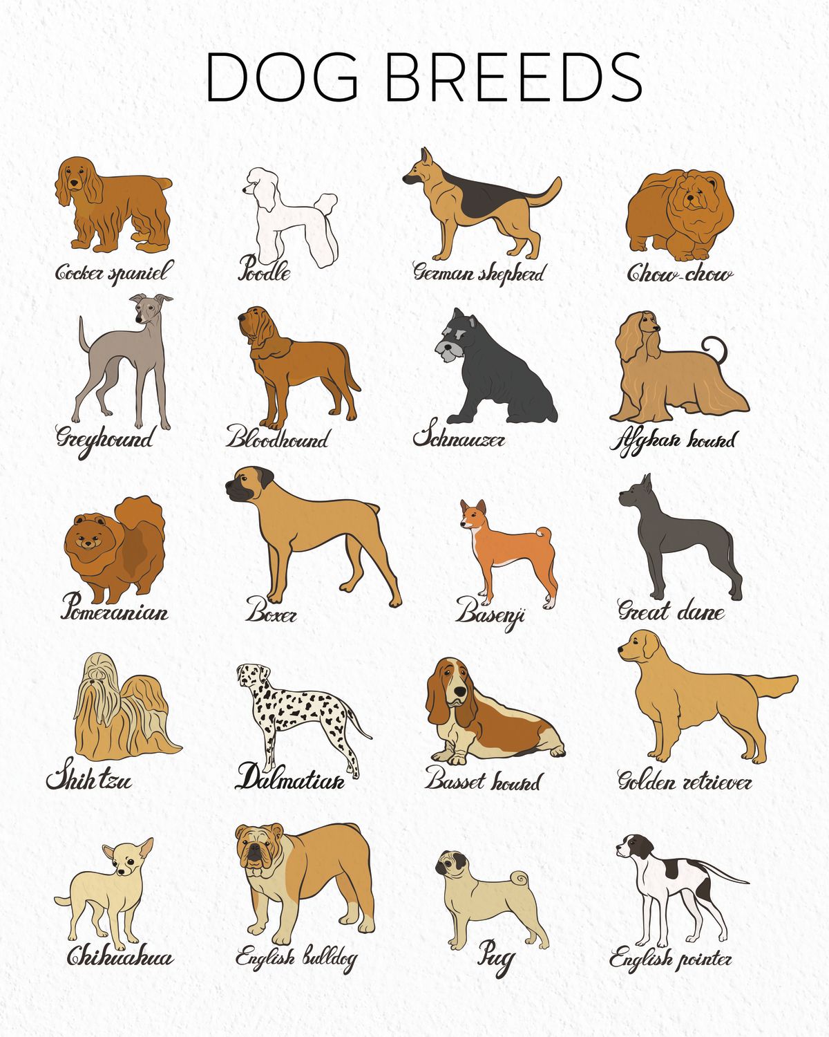 Dog Breeds Guide Chart