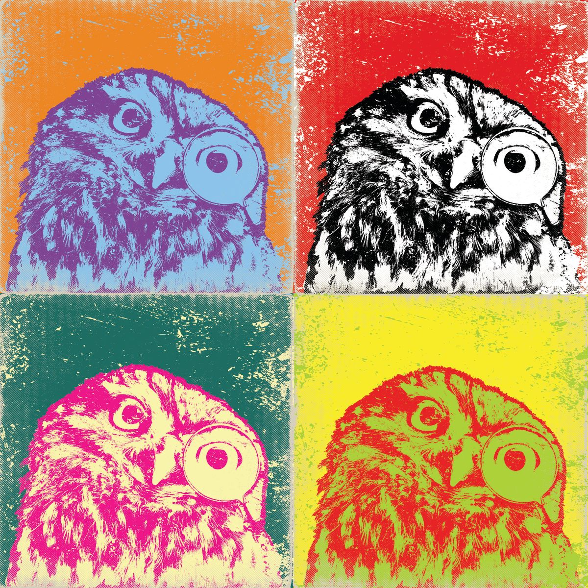 Retro Curious Owls