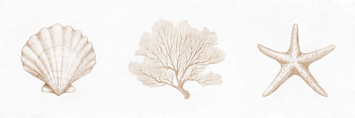 Marine Wonders II Wall Art