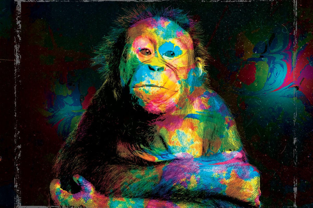 Color Grunge Baby Orangutan