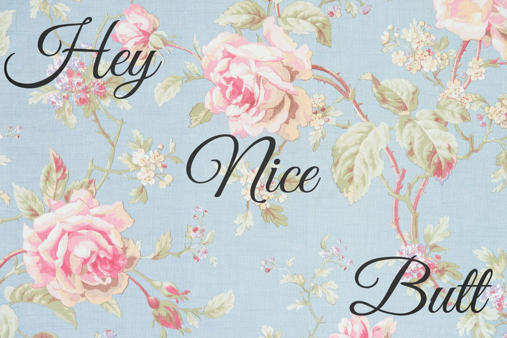 Hey Nice Butt Typography