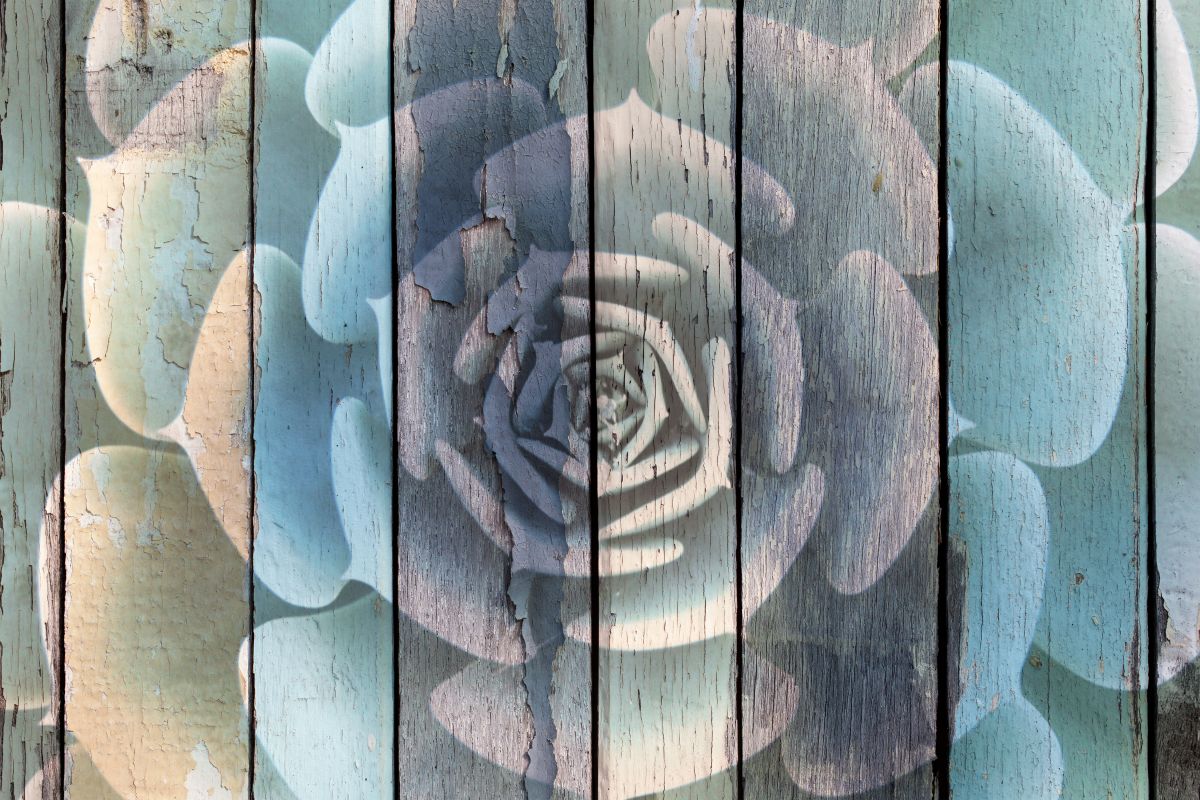 Rustic Blooming Succulent