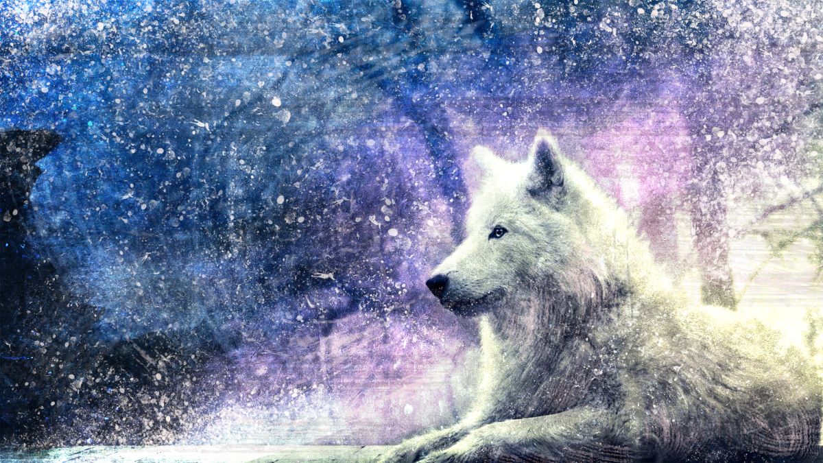 White Wolf