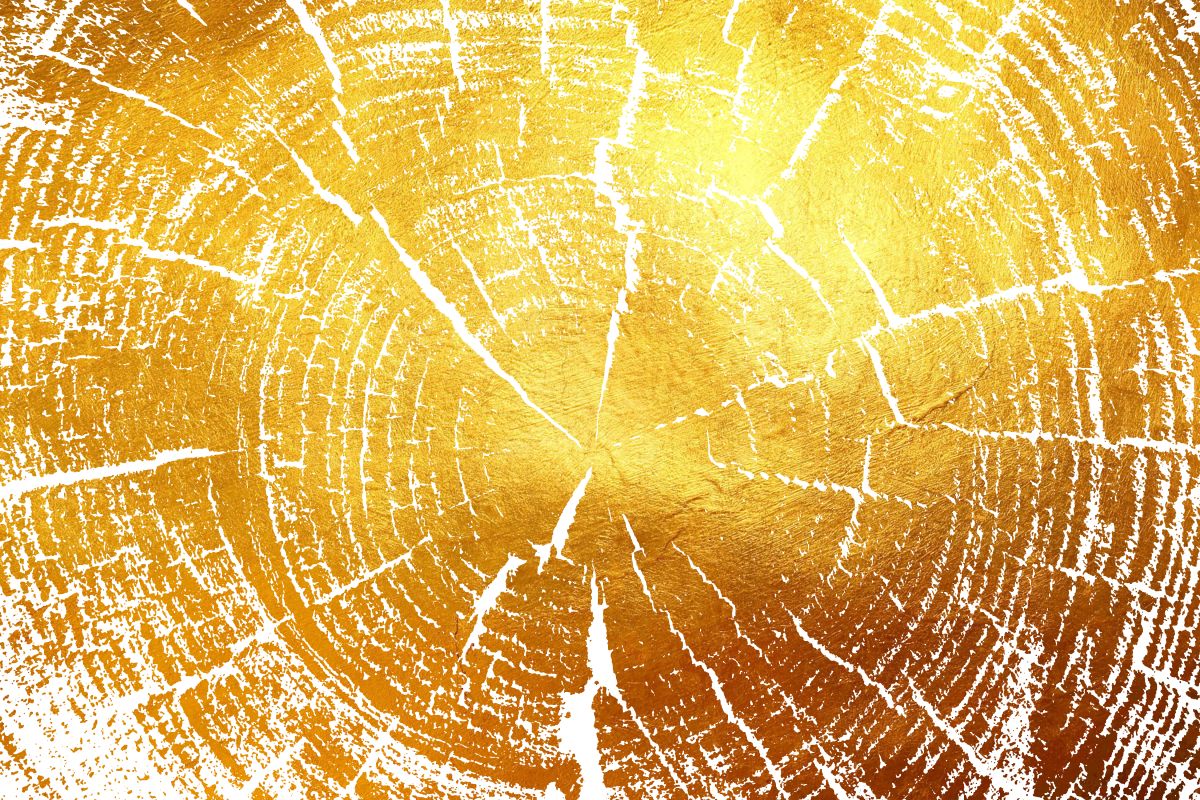 Golden Tree Rings