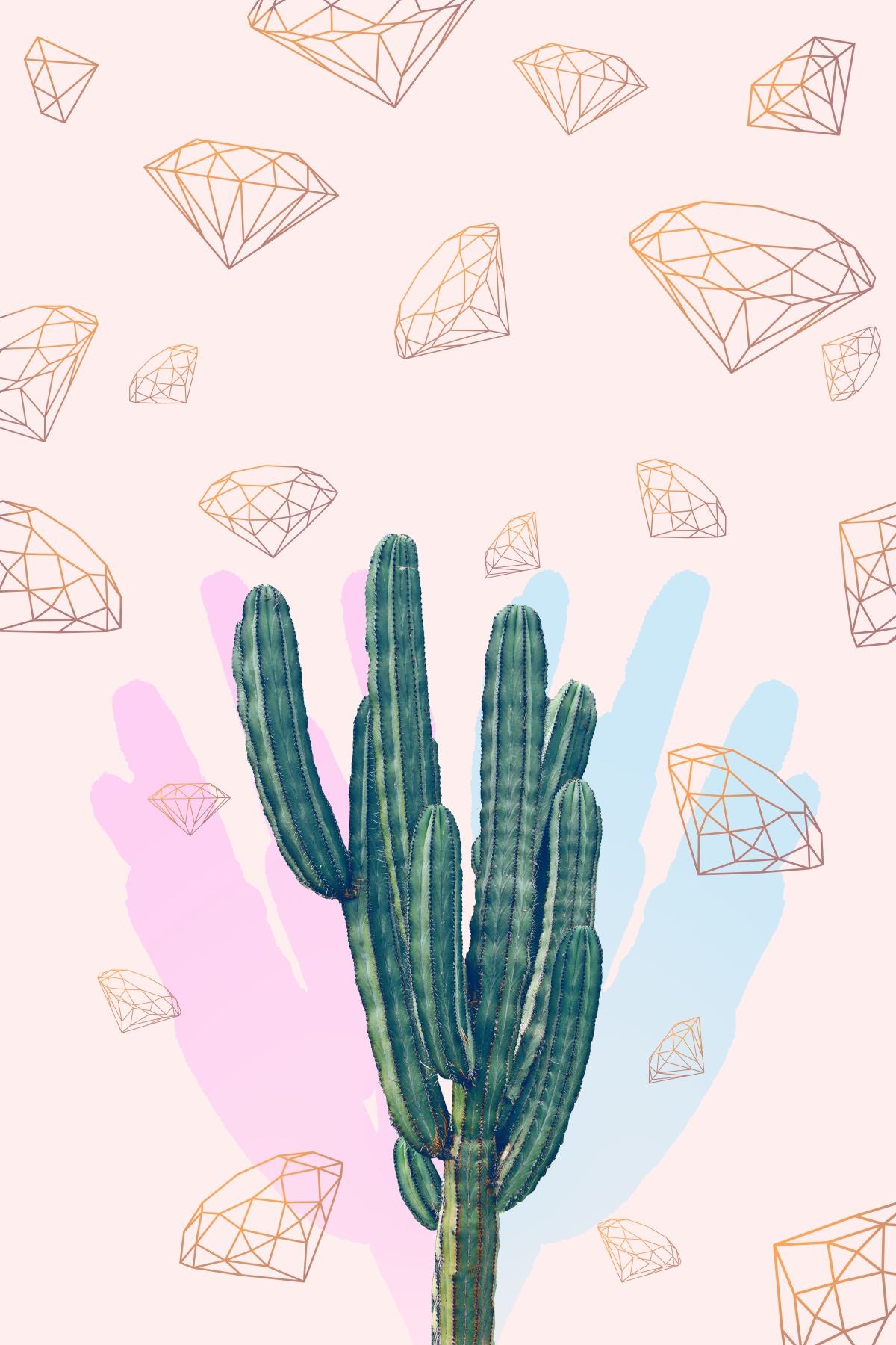 Chic Cactus