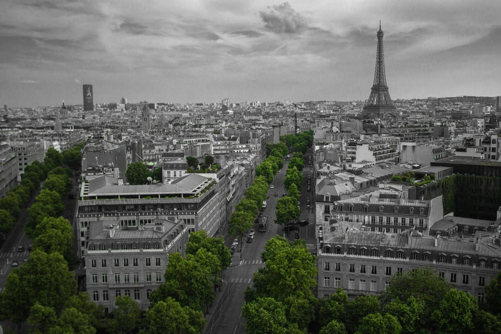 Paris View Pop