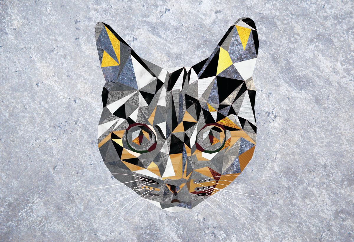 Geometric Cat