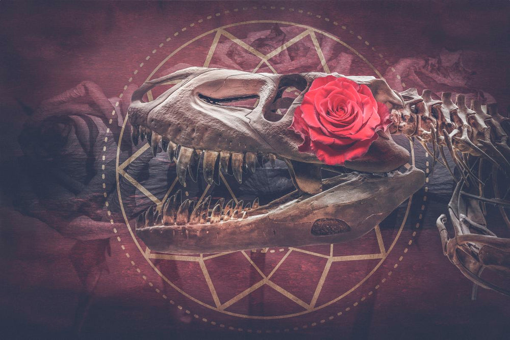 Dinosaur Skull Rose