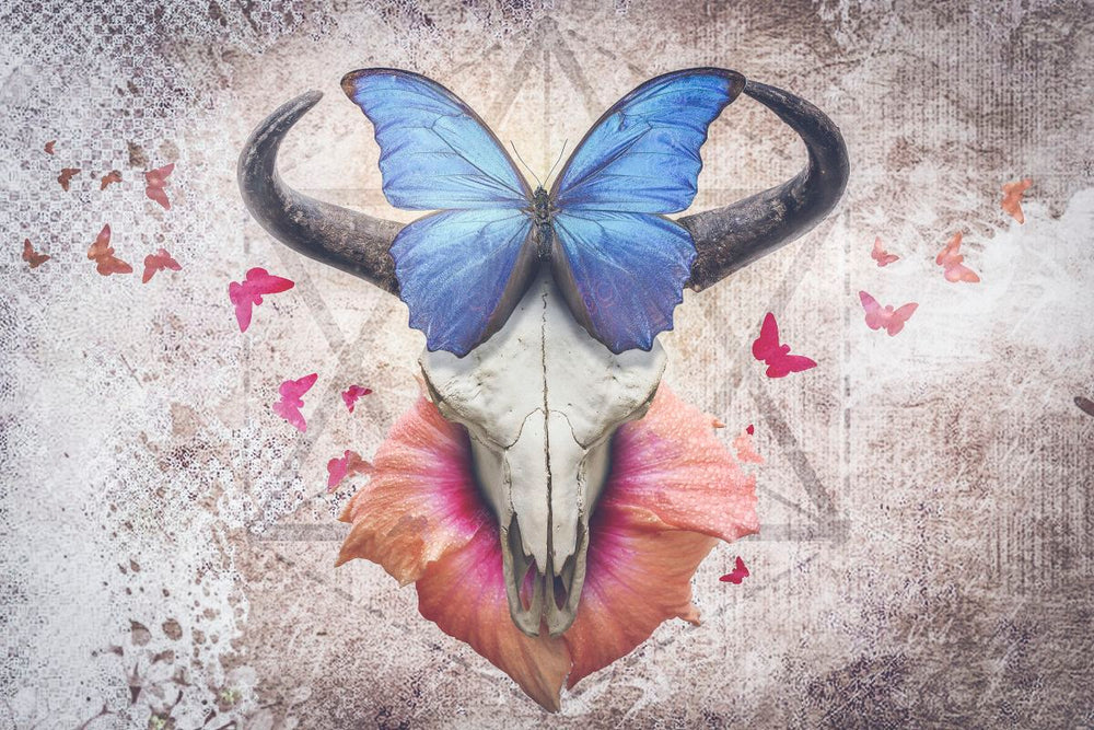 Butterfly Bull Skull