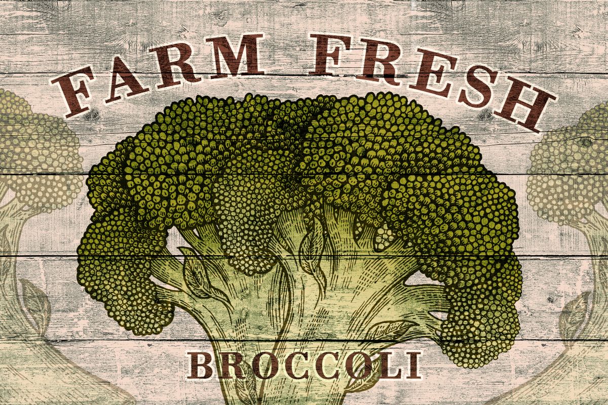 Fresh Broccoli – Pineapple Licensing