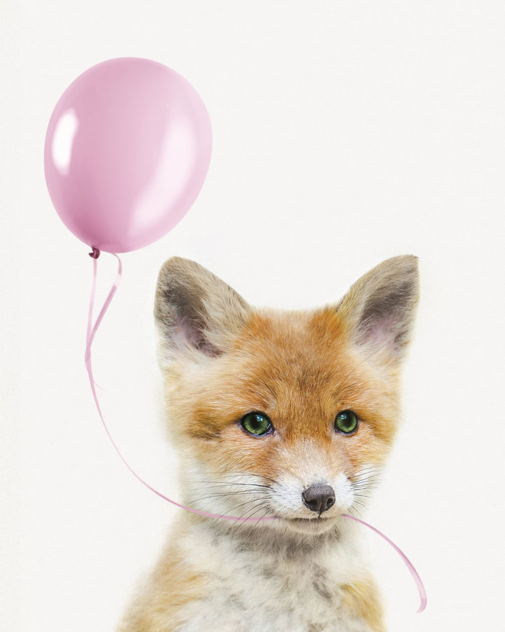 Fox And Pink Balloon