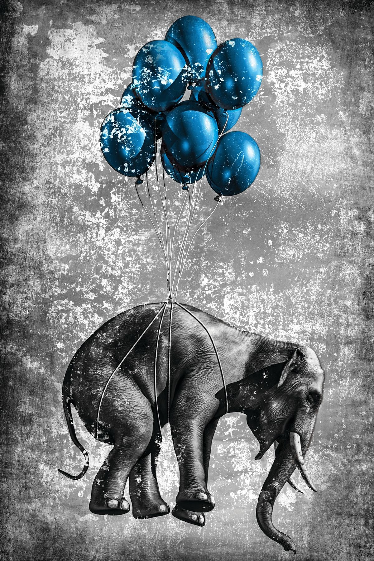 Elephant Balloons Pop