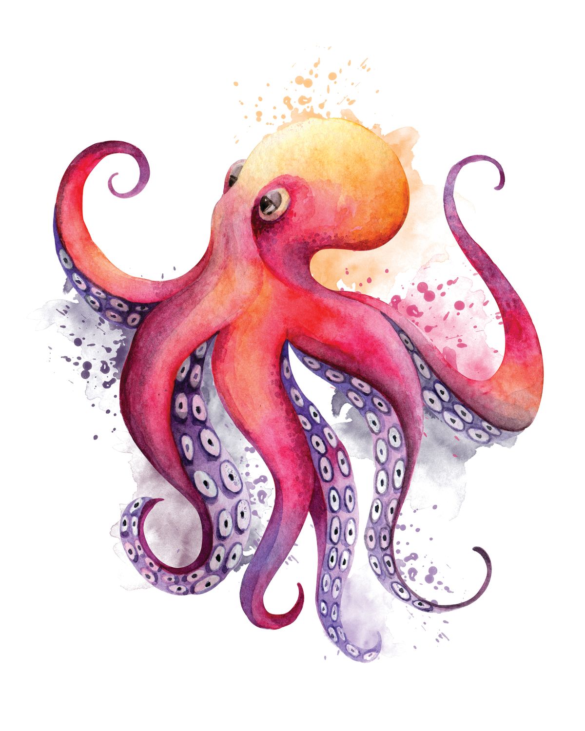 Octopus Splash