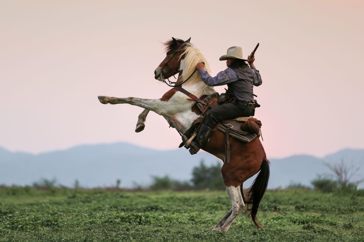 Cowboy In Action