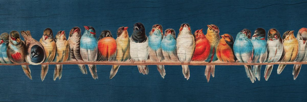 Bird Assembly