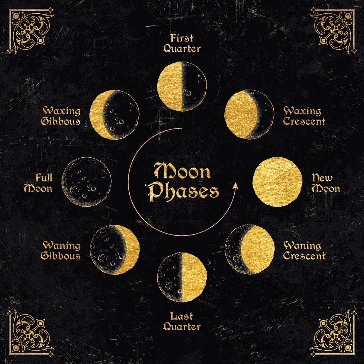 Gold Moon Phases Chart