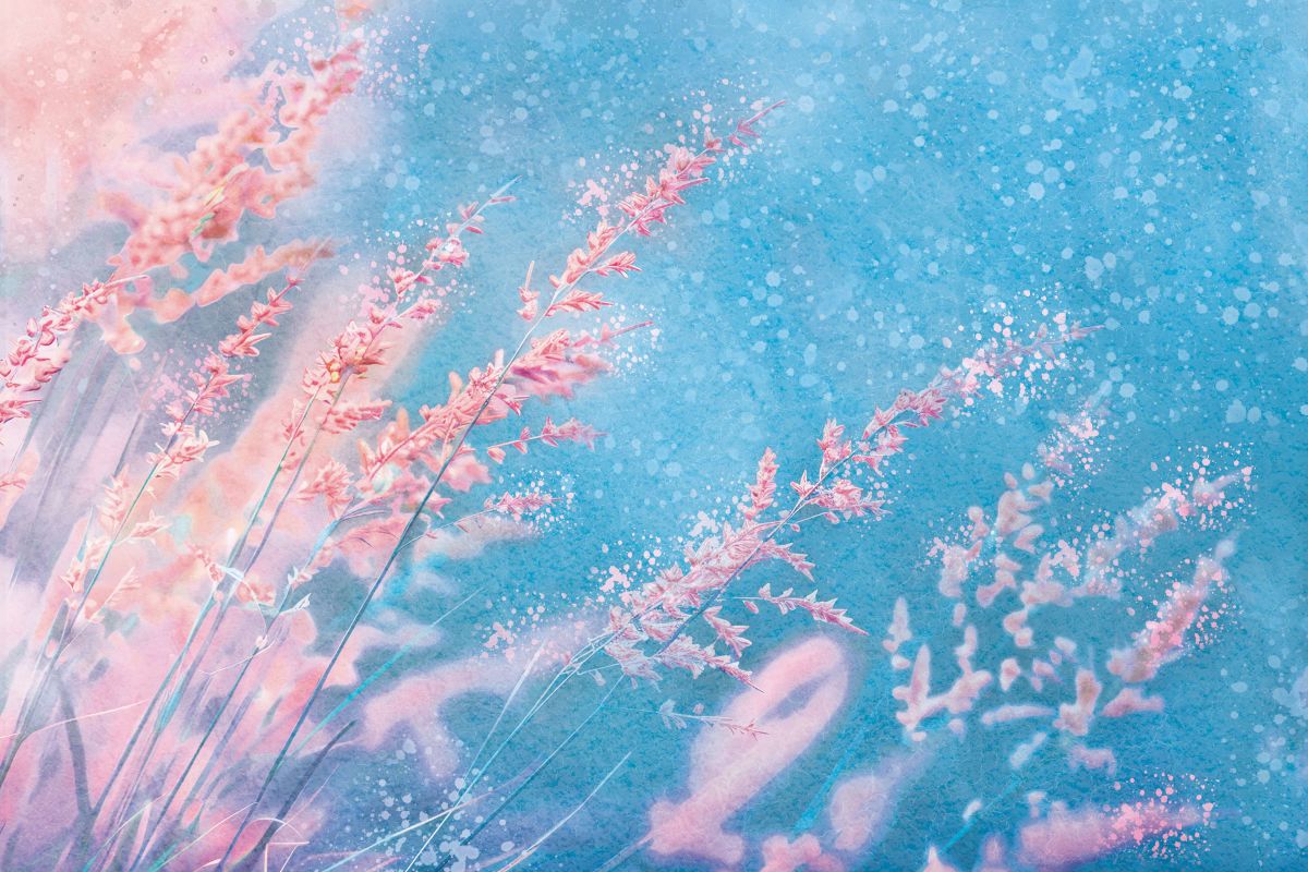Ethereal Grasses II