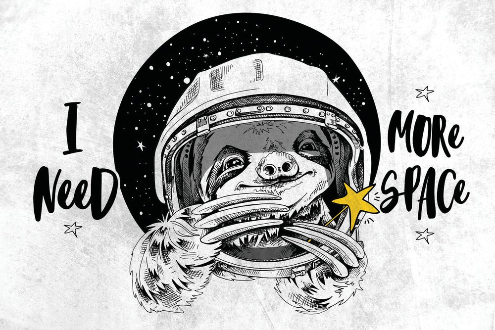 Funny Space Sloth