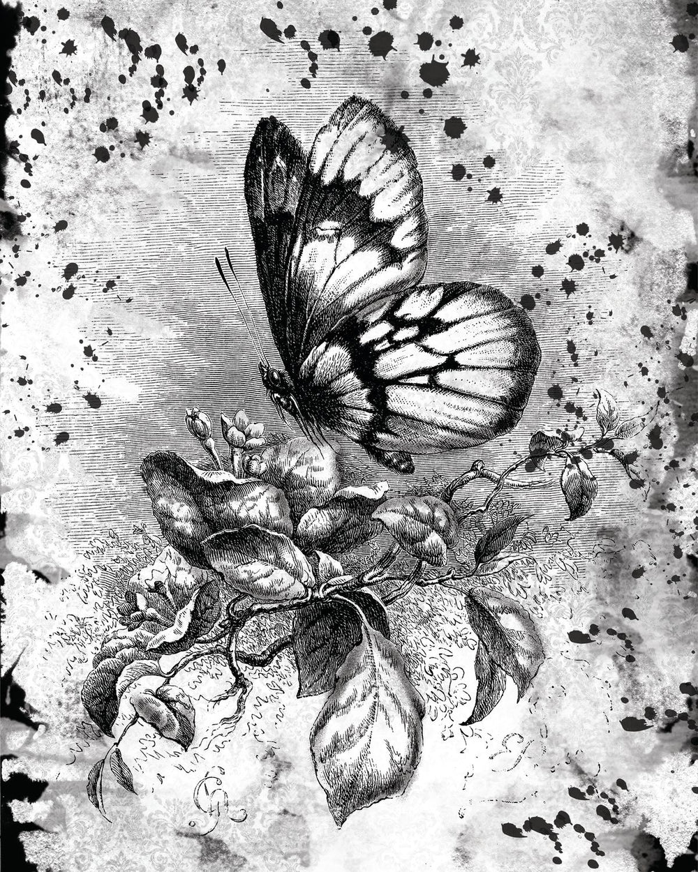 Butterfly On Flower Grunge