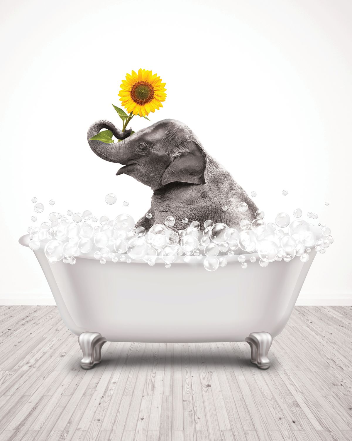 Bathtub Animal Elephant Sunflower Pop