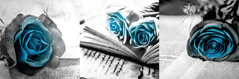 Roses On Books Pop