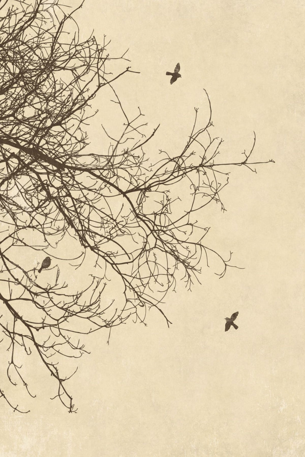Flying Past Emptiness