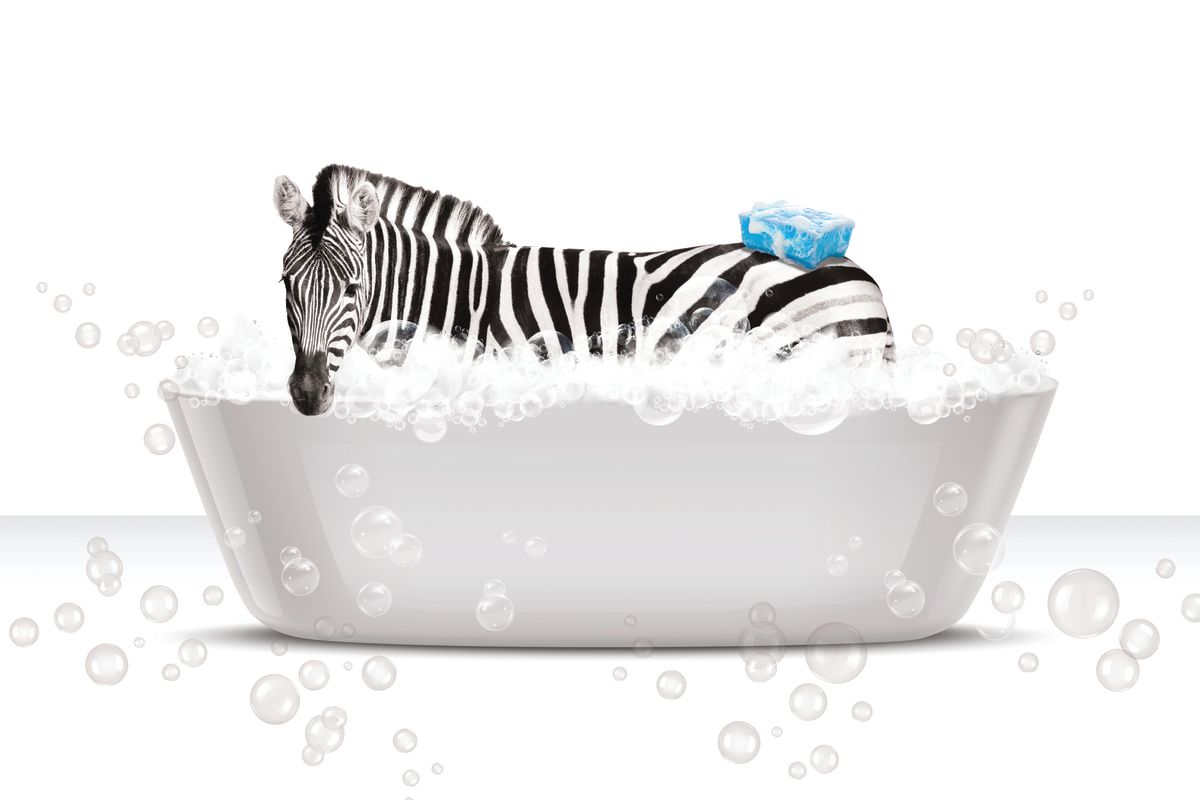 Bathtub Animal Zebra