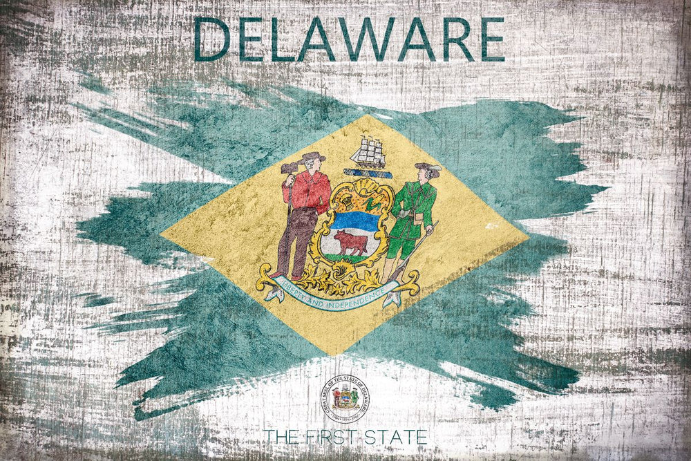 Delaware The First State Grunge