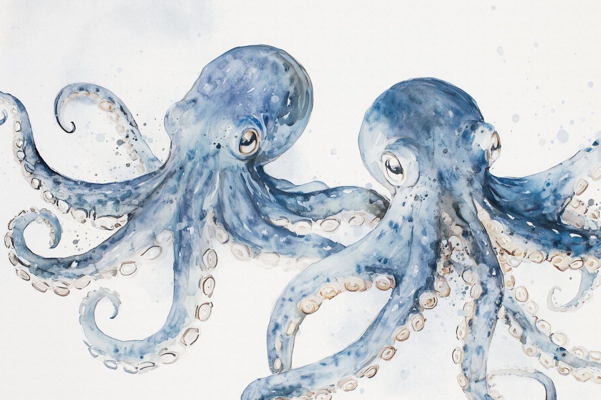 Octopus Duo Wall Art