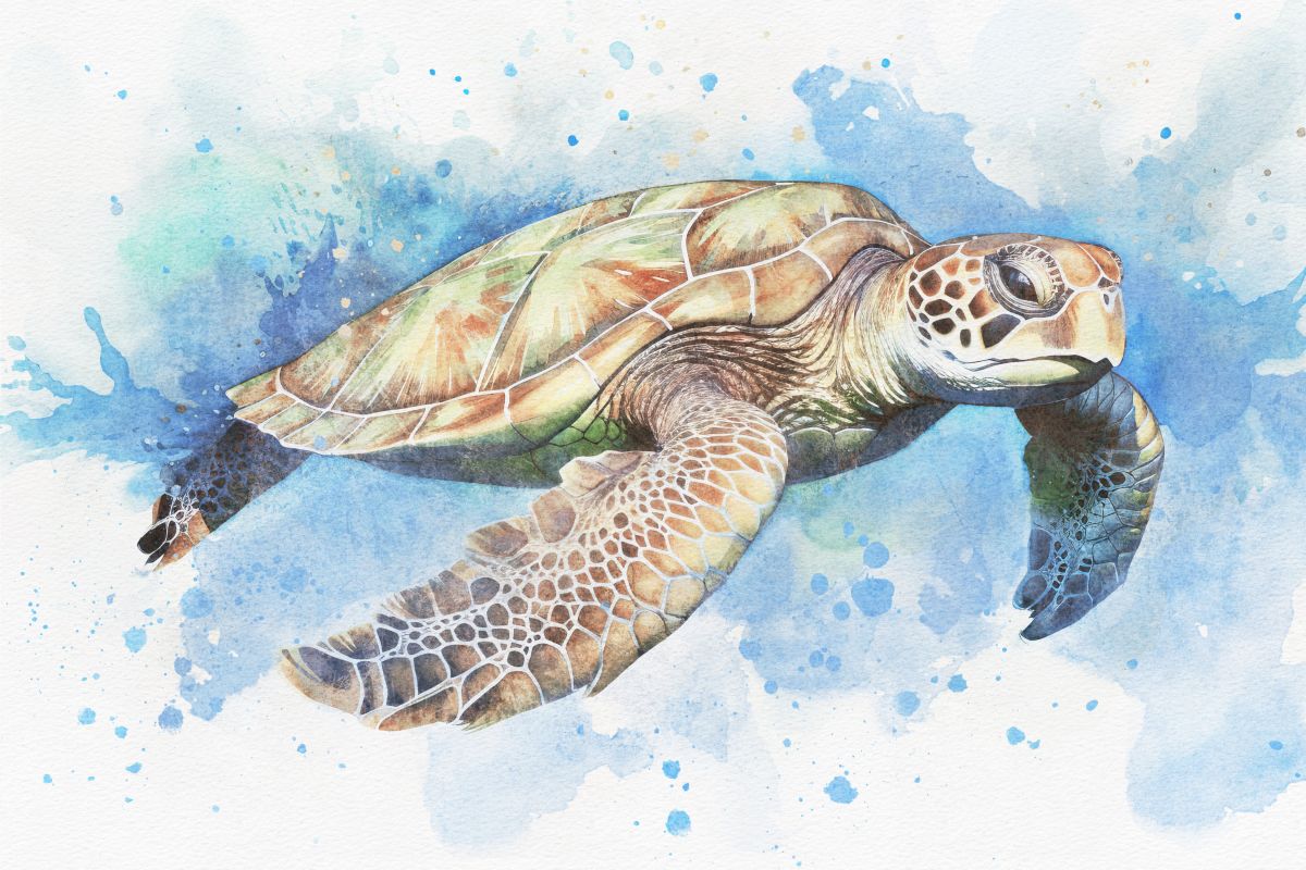 Underwater Beige Turtle