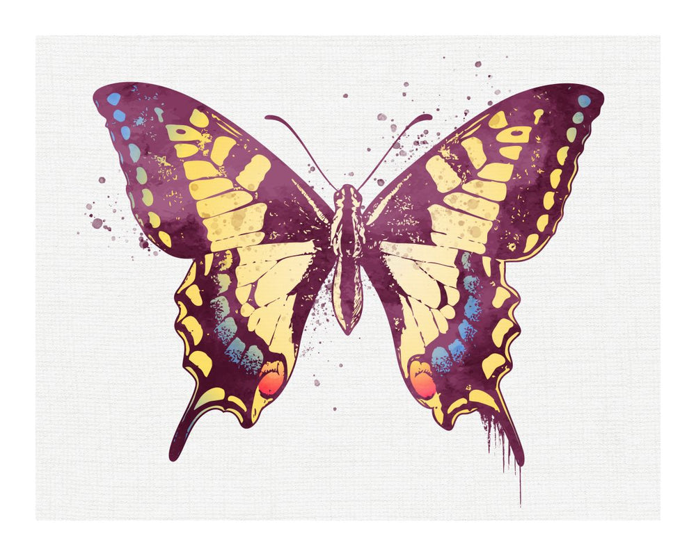 Stunning Butterfly