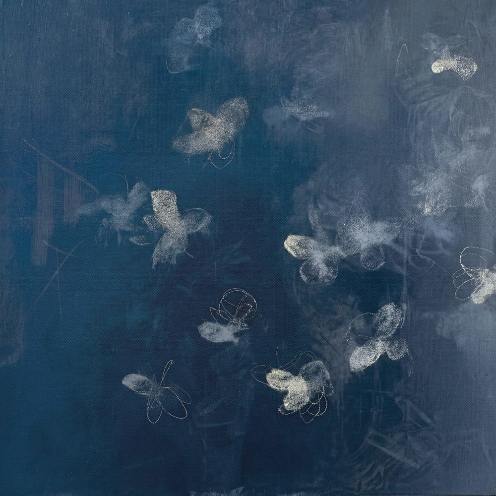 Midnight Butterfly Drift
