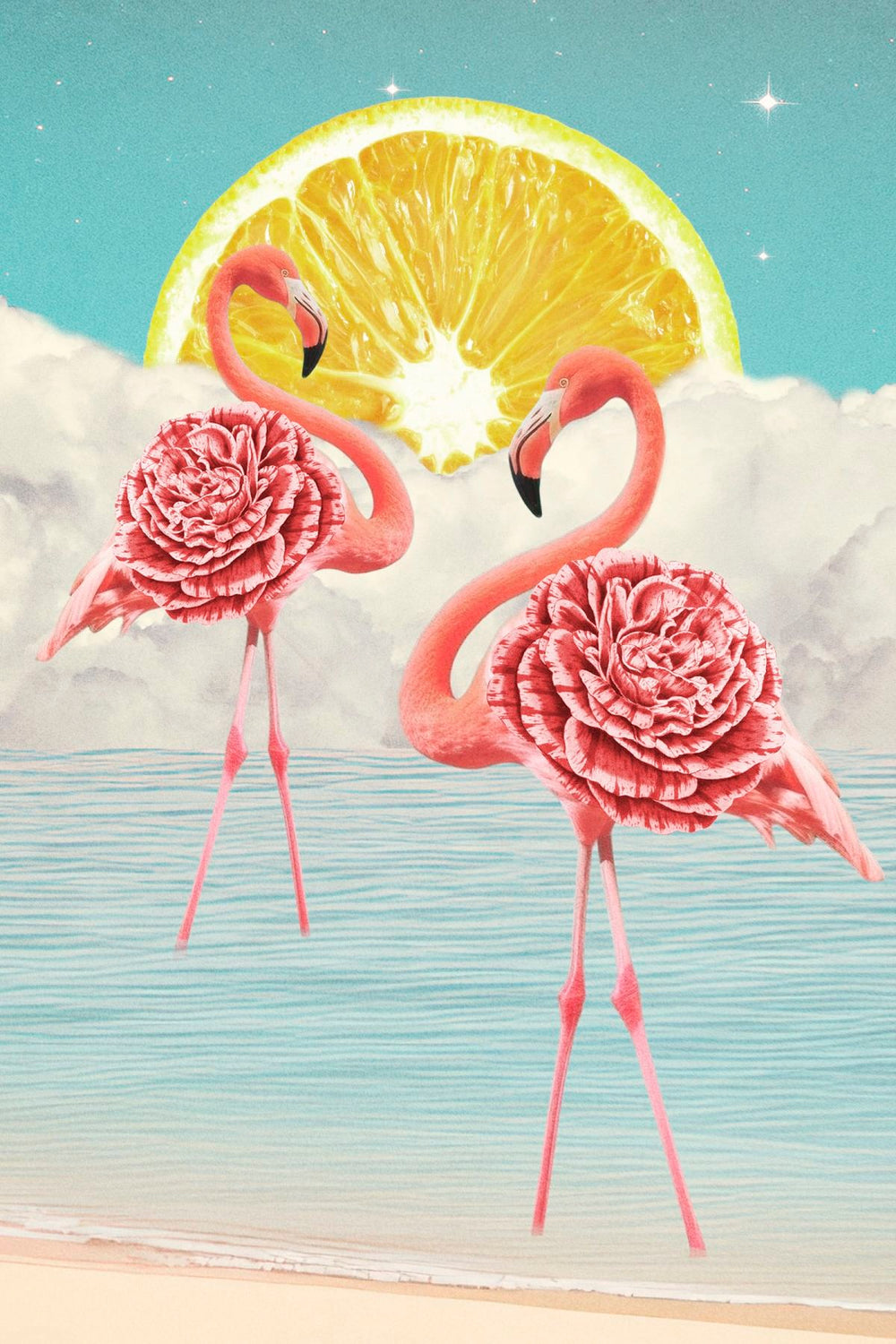 Citrus Flamingos