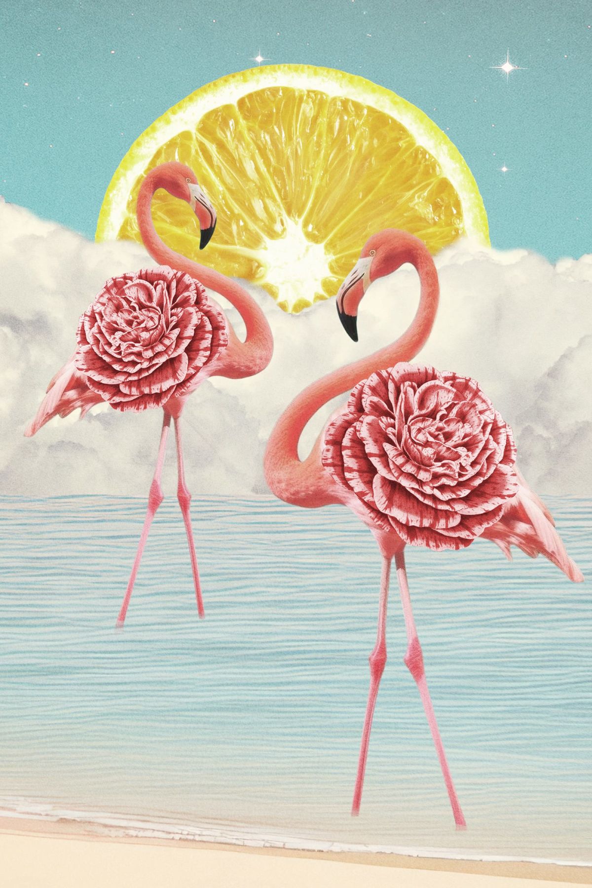 Citrus Flamingos