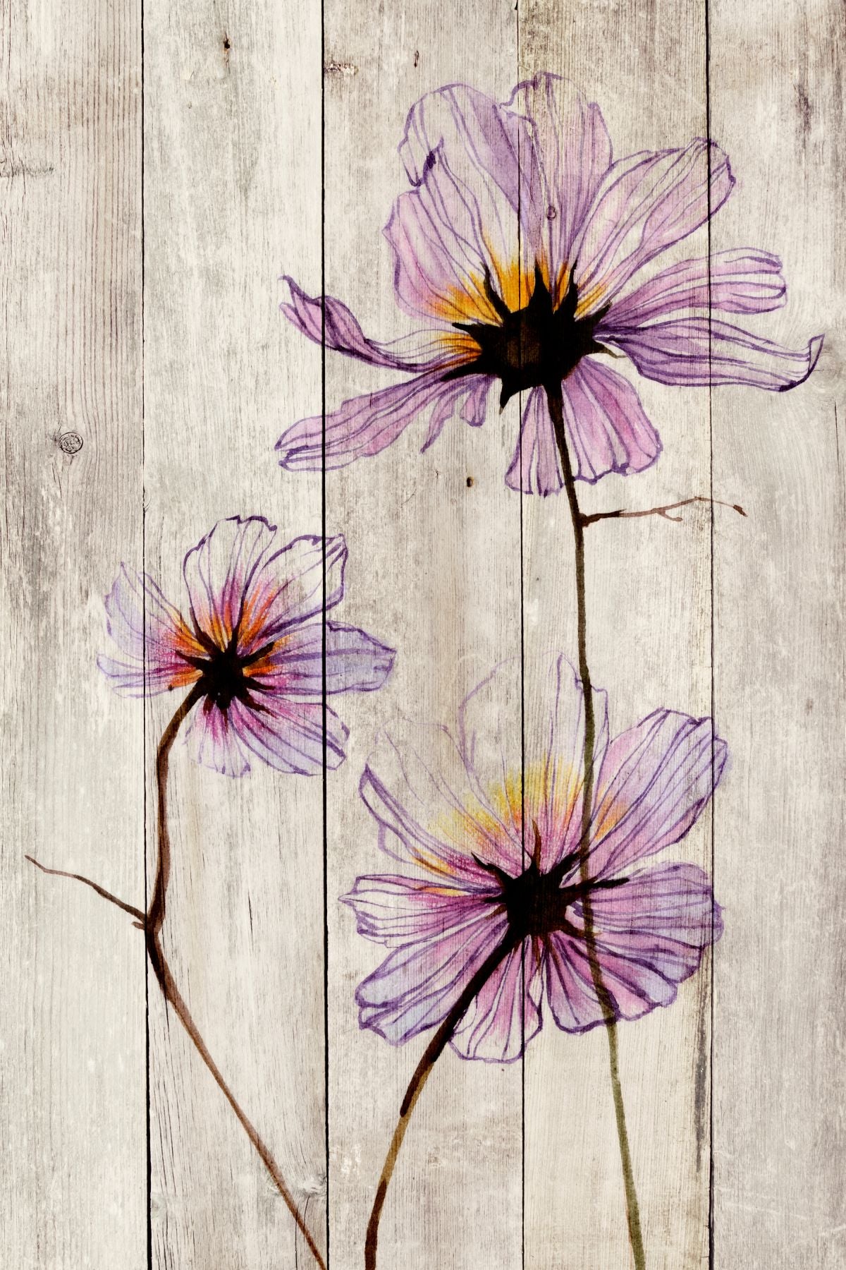 Cosmos On Wood