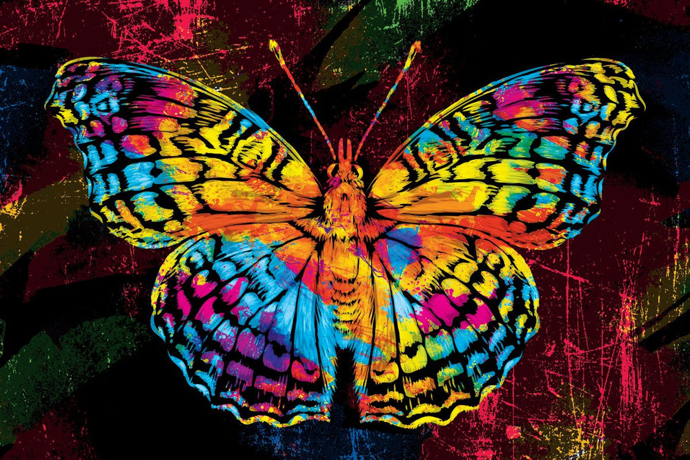 Color Grunge Butterfly