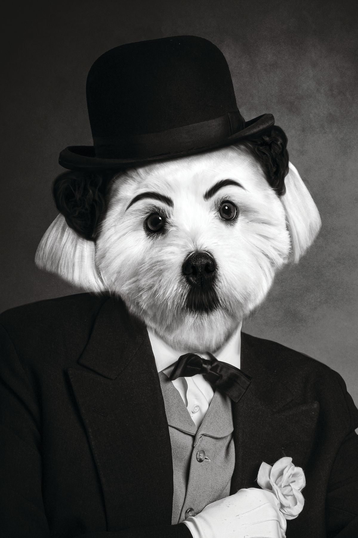 Chaplin Dog