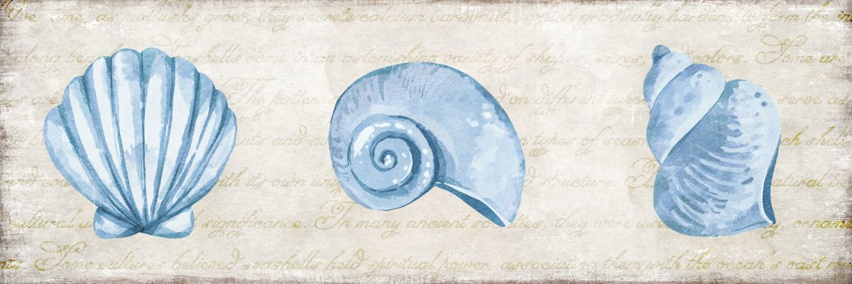 Shell Trios IV Wall Art