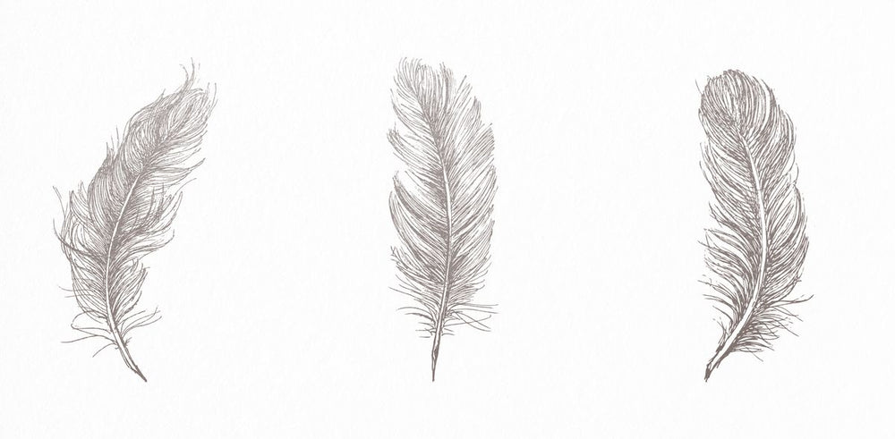 Simple Feathers