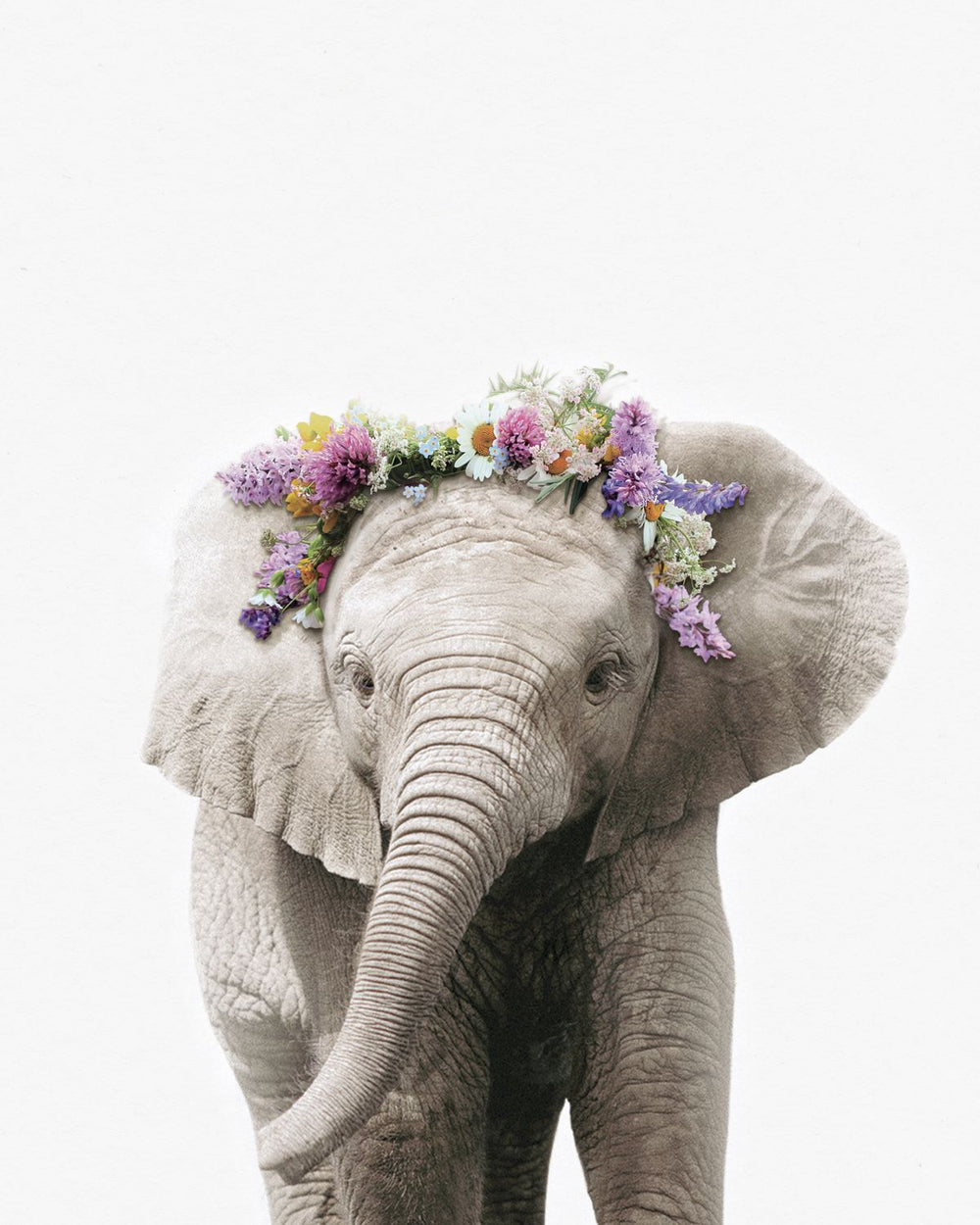 Flower Crown Elephant