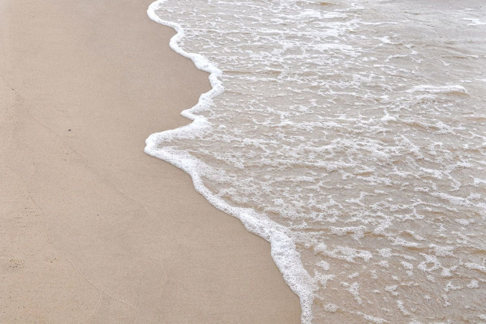 Day Shore