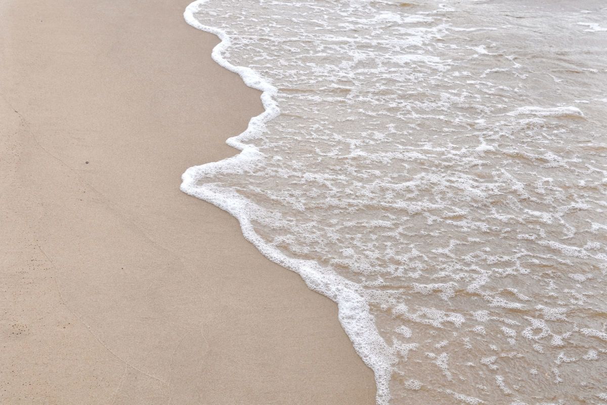 Day Shore